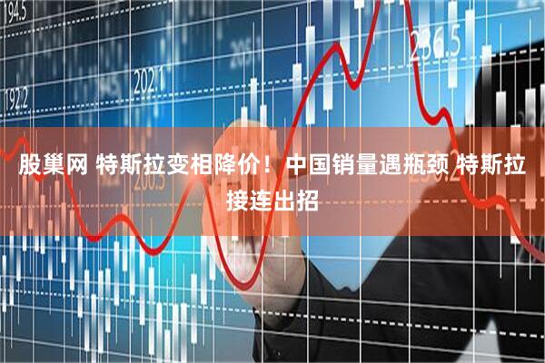 股巢网 特斯拉变相降价！中国销量遇瓶颈 特斯拉接连出招