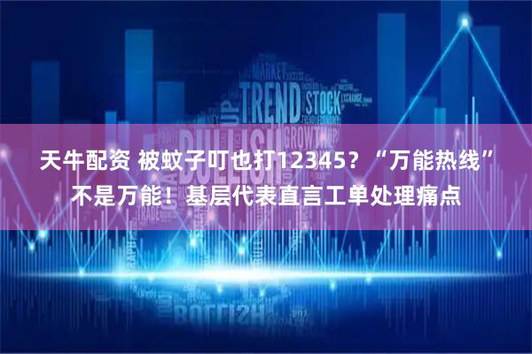 天牛配资 被蚊子叮也打12345？“万能热线”不是万能！基层代表直言工单处理痛点